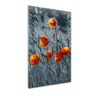 Cuadro de vidrio templado 4mm para pared vertical Amapolas de campo