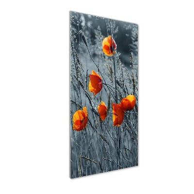 Cuadro de vidrio templado 4mm para pared vertical Amapolas de campo