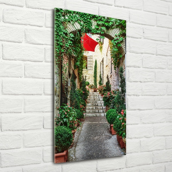 Cuadro de cristal moderno efecto brillo vertical Calles de Francia