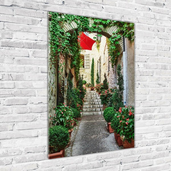 Cuadro de cristal moderno efecto brillo vertical Calles de Francia