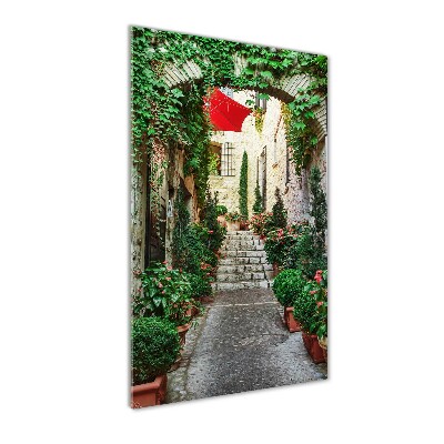 Cuadro de cristal moderno efecto brillo vertical Calles de Francia