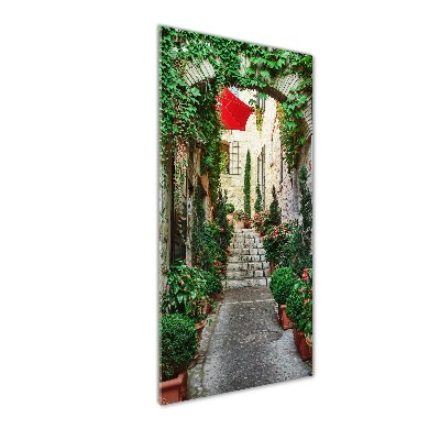 Cuadro de cristal moderno efecto brillo vertical Calles de Francia