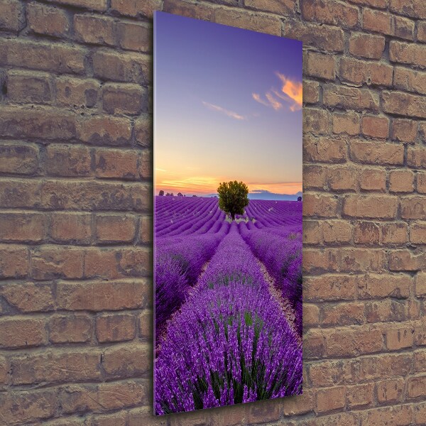 Cuadro de vidrio templado 4mm para pared vertical campo de lavanda
