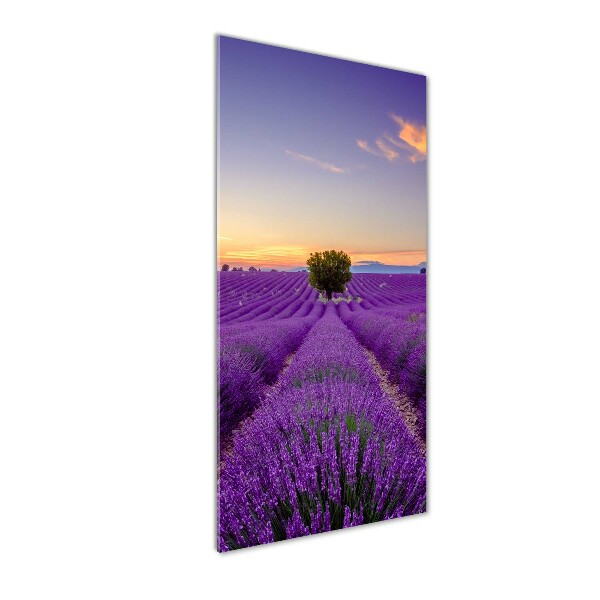 Cuadro de vidrio templado 4mm para pared vertical campo de lavanda