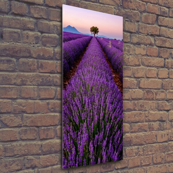 Fotocuadro de cristal elegante para hogar vertical campo de lavanda