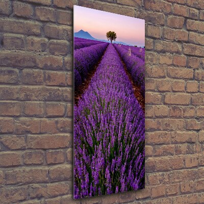 Fotocuadro de cristal elegante para hogar vertical campo de lavanda