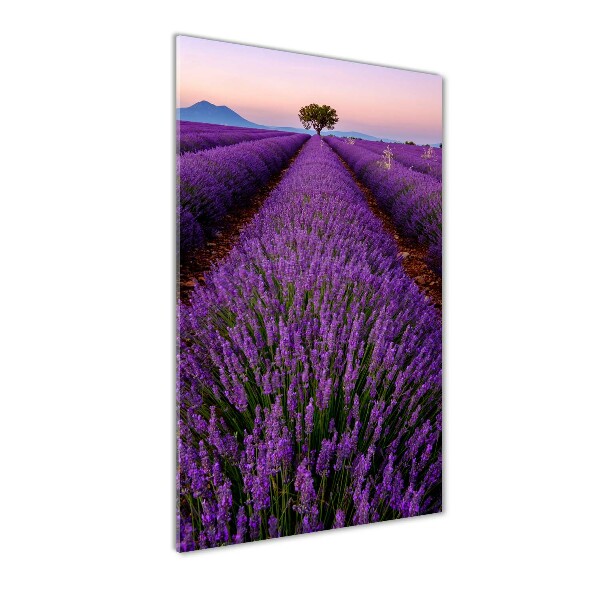 Fotocuadro de cristal elegante para hogar vertical campo de lavanda