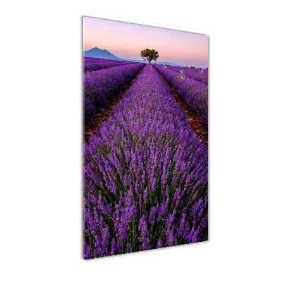 Fotocuadro de cristal elegante para hogar vertical campo de lavanda