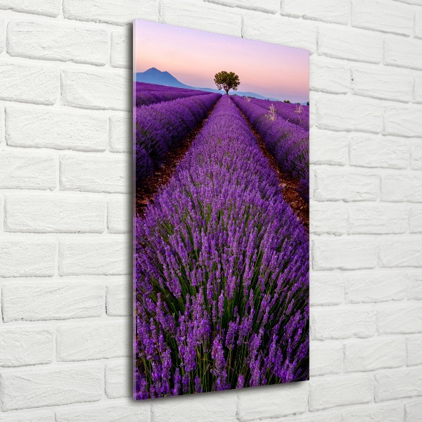 Fotocuadro de cristal elegante para hogar vertical campo de lavanda