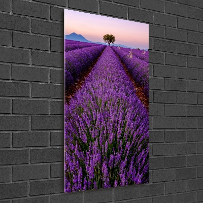 Fotocuadro de cristal elegante para hogar vertical campo de lavanda