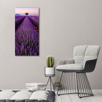Fotocuadro de cristal elegante para hogar vertical campo de lavanda