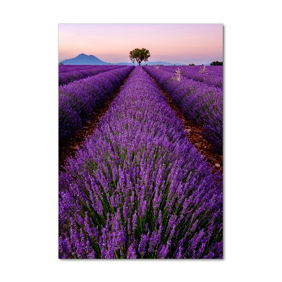 Fotocuadro de cristal elegante para hogar vertical campo de lavanda