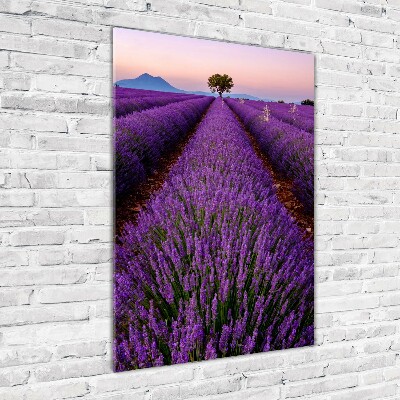 Fotocuadro de cristal elegante para hogar vertical campo de lavanda