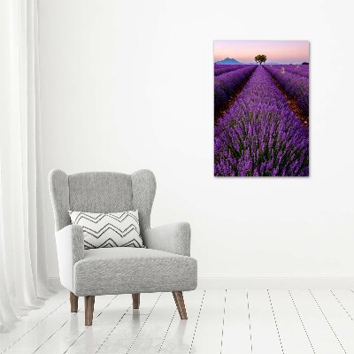 Fotocuadro de cristal elegante para hogar vertical campo de lavanda