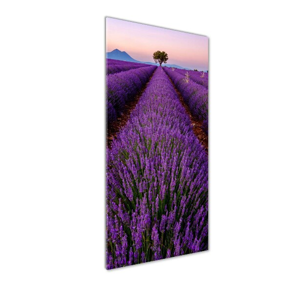 Fotocuadro de cristal elegante para hogar vertical campo de lavanda