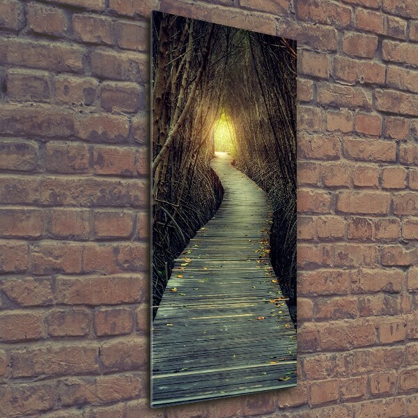 Fotocuadro de cristal elegante para hogar vertical Camino en el bosque