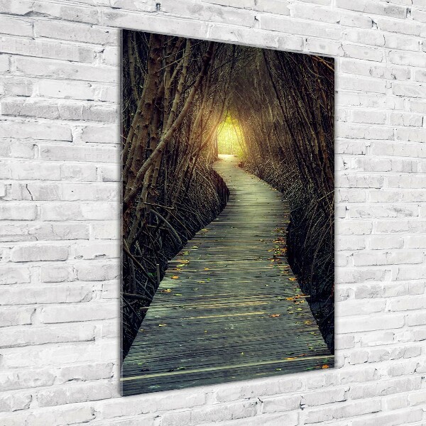 Fotocuadro de cristal elegante para hogar vertical Camino en el bosque