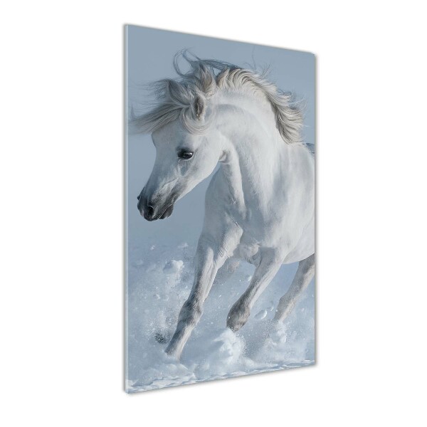 Fotocuadro de cristal elegante para hogar vertical Un caballo blanco galopando