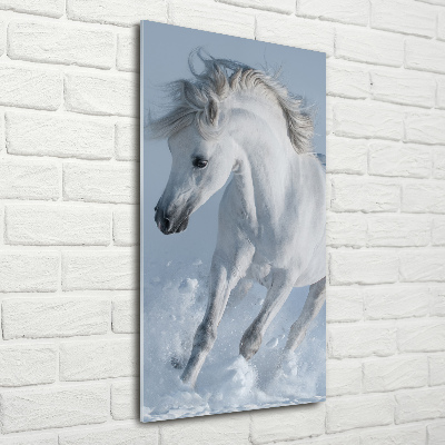Fotocuadro de cristal elegante para hogar vertical Un caballo blanco galopando