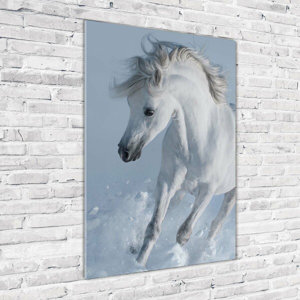 Fotocuadro de cristal elegante para hogar vertical Un caballo blanco galopando