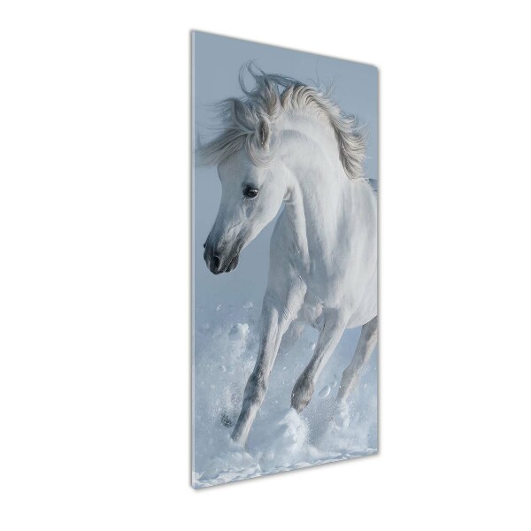 Fotocuadro de cristal elegante para hogar vertical Un caballo blanco galopando