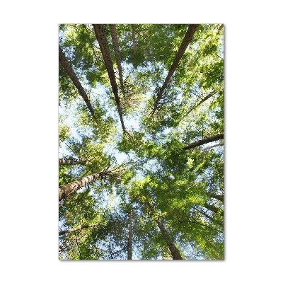 Fotocuadro de cristal elegante para hogar vertical Corona del árbol