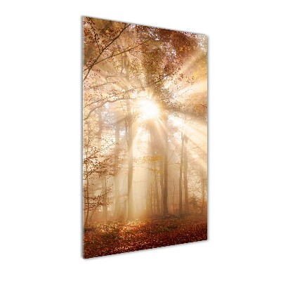 Cuadro decorativo en cristal con canto pulido vertical Bosque en otoño