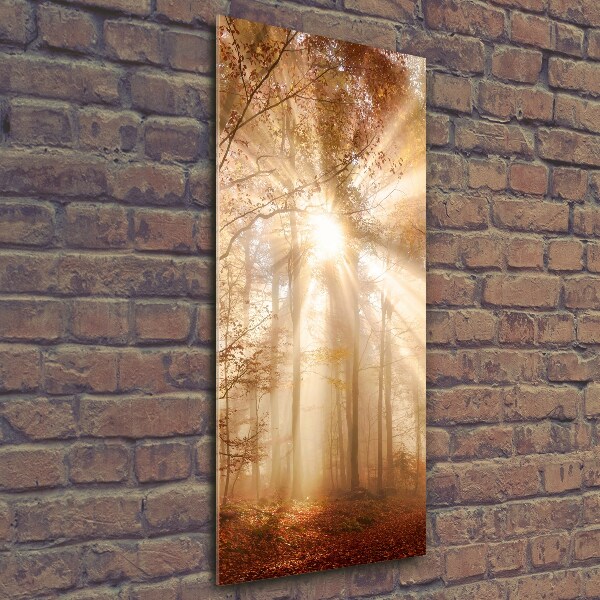 Cuadro decorativo en cristal con canto pulido vertical Bosque en otoño