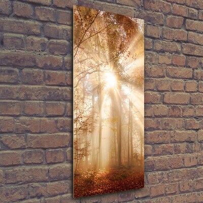 Cuadro decorativo en cristal con canto pulido vertical Bosque en otoño