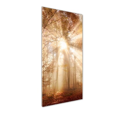 Cuadro decorativo en cristal con canto pulido vertical Bosque en otoño