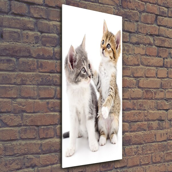 Fotocuadro de cristal elegante para hogar vertical Dos pequeños gatos