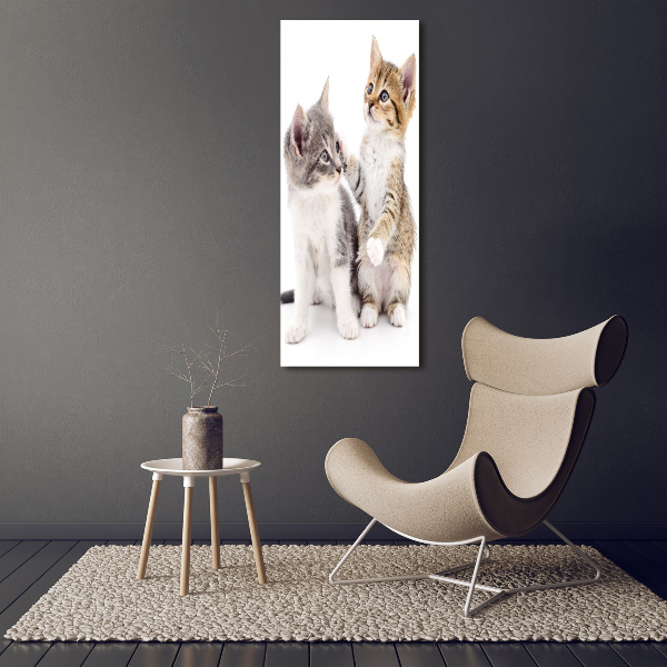 Fotocuadro de cristal elegante para hogar vertical Dos pequeños gatos