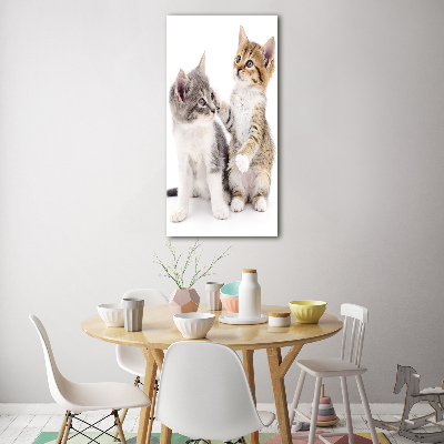 Fotocuadro de cristal elegante para hogar vertical Dos pequeños gatos