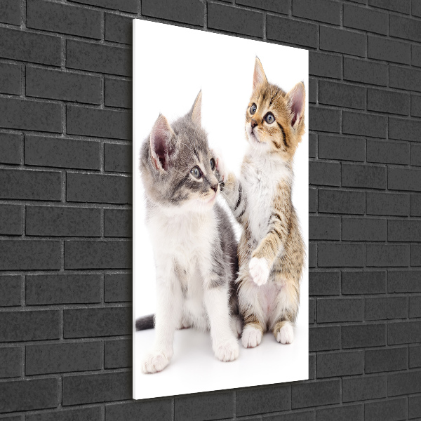 Fotocuadro de cristal elegante para hogar vertical Dos pequeños gatos