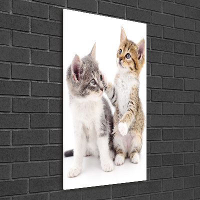 Fotocuadro de cristal elegante para hogar vertical Dos pequeños gatos