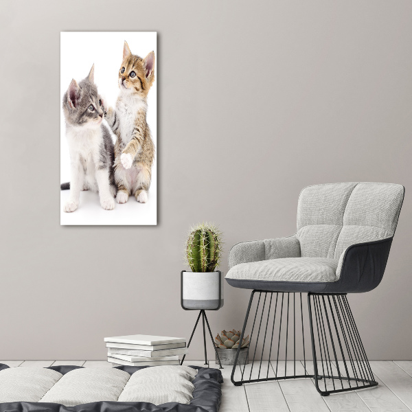Fotocuadro de cristal elegante para hogar vertical Dos pequeños gatos