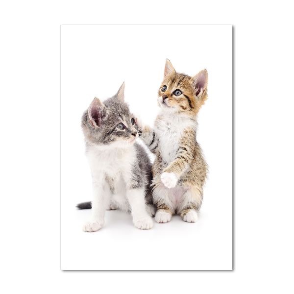 Fotocuadro de cristal elegante para hogar vertical Dos pequeños gatos