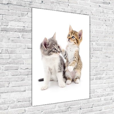 Fotocuadro de cristal elegante para hogar vertical Dos pequeños gatos