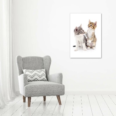 Fotocuadro de cristal elegante para hogar vertical Dos pequeños gatos