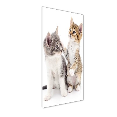 Fotocuadro de cristal elegante para hogar vertical Dos pequeños gatos