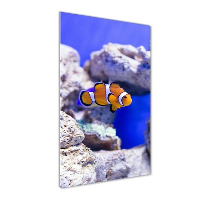 Cuadro decorativo en cristal con canto pulido vertical Nemo el pez