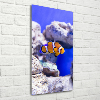 Cuadro decorativo en cristal con canto pulido vertical Nemo el pez