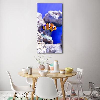 Cuadro decorativo en cristal con canto pulido vertical Nemo el pez