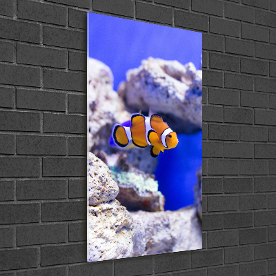 Cuadro decorativo en cristal con canto pulido vertical Nemo el pez