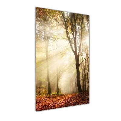 Cuadro de vidrio templado 4mm para pared vertical Bosque en otoño