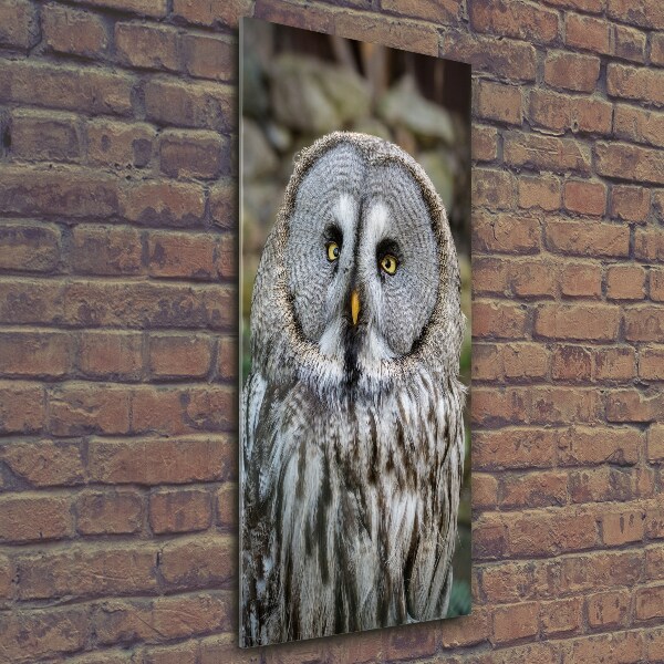 Cuadro de vidrio templado 4mm para pared vertical Búho