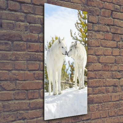 Fotocuadro de cristal elegante para hogar vertical Dos lobos blancos