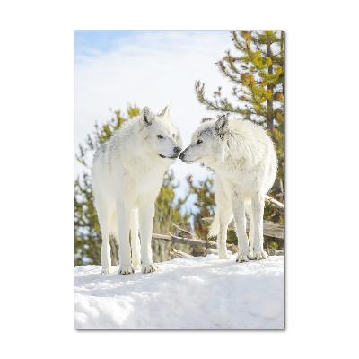 Fotocuadro de cristal elegante para hogar vertical Dos lobos blancos