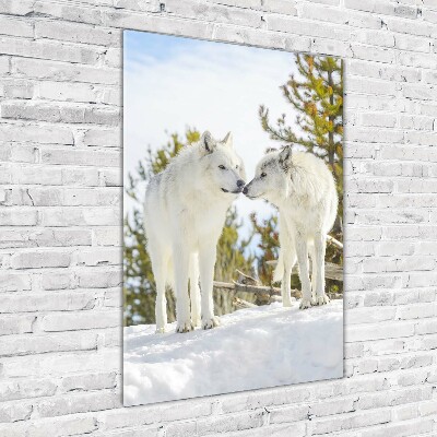 Fotocuadro de cristal elegante para hogar vertical Dos lobos blancos