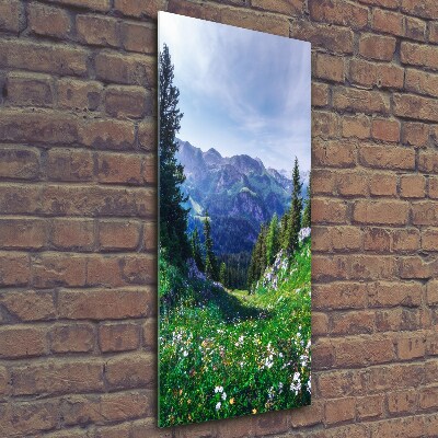 Cuadro de cristal moderno efecto brillo vertical Alpes